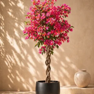 1.5m Artificial Bougainvillea Tree (FL-002) – Luxury Faux Flower Plant for Home & Office Decor